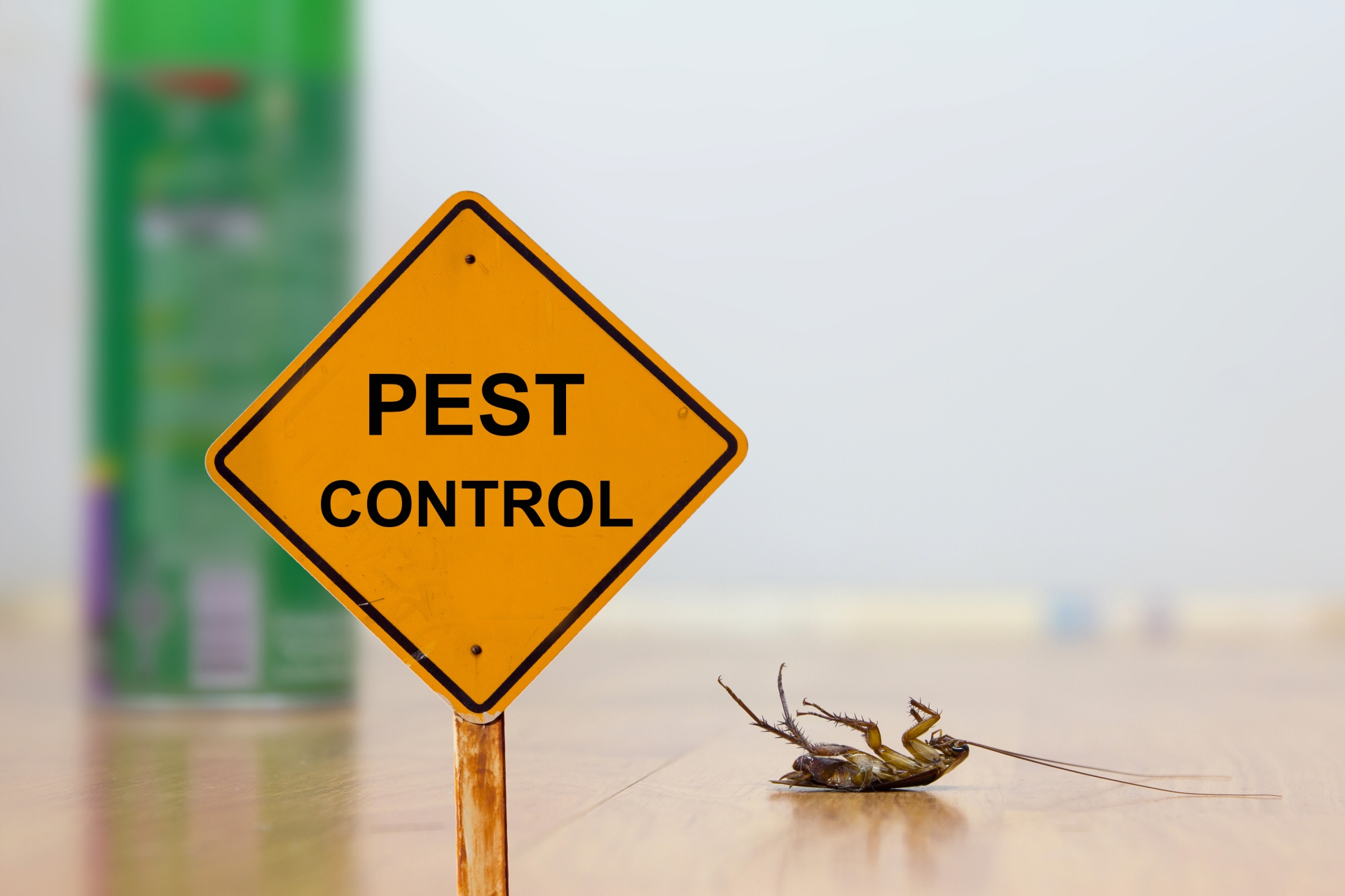 24 Hour Pest Control, Pest Control in Sydenham, SE26. Call Now 020 8166 9746